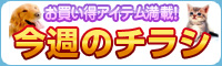 ダイユーエイト チラシ お買い得な商品情報