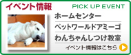 イベント情報