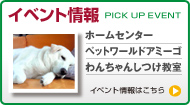 イベント情報
