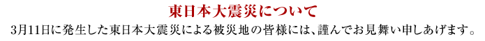 東日本大震災について