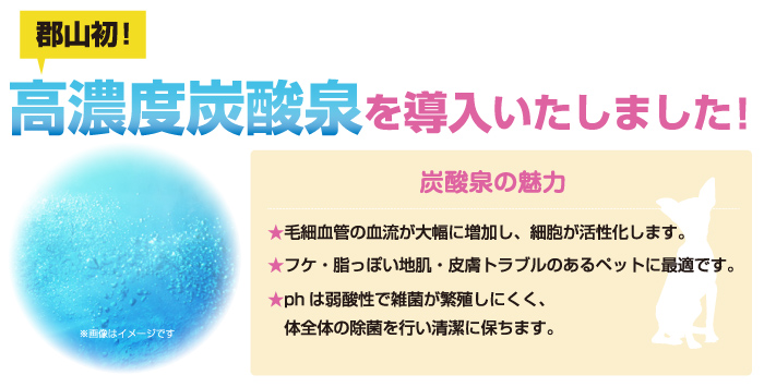 トリミング・ペットホテル