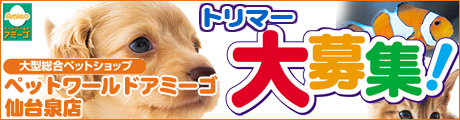 �g���}�[���W�I