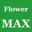 Flower MAX