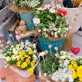 エイトガーデン