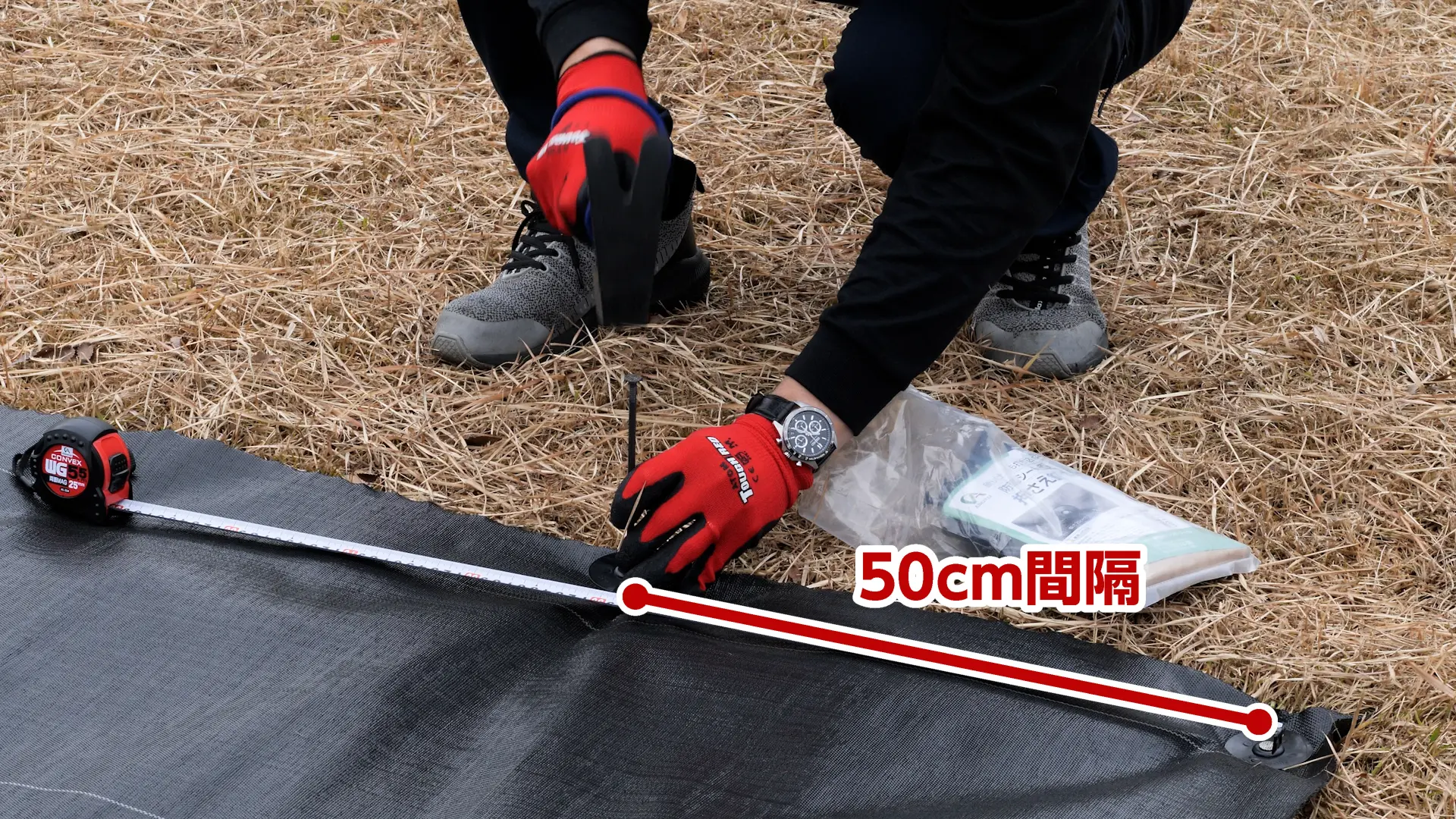 ピンを50cm〜1m間隔で打ち込む