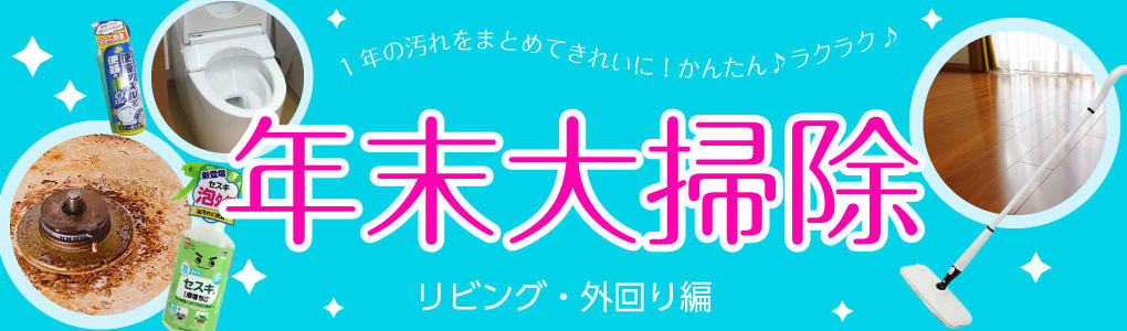 年末大掃除-リビング・外回り編-