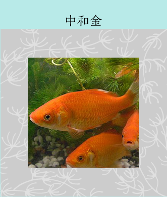 メダカ 金魚 飼育の基本 株式会社ダイユーエイト メダカ 金魚 飼育の基本 株式会社ダイユーエイト