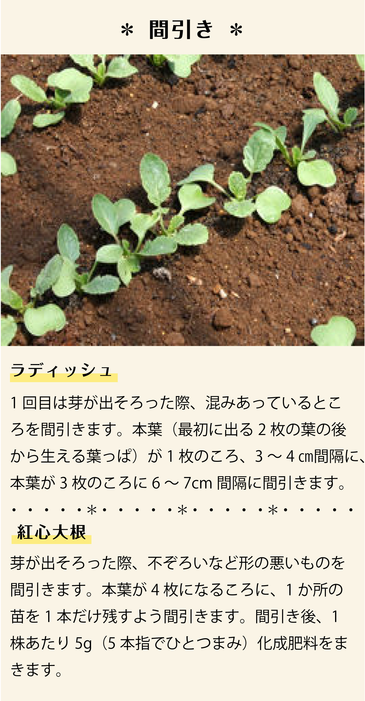 育てる場所を選ばない 病害虫に強い おすすめ秋植え野菜 株式会社ダイユーエイト