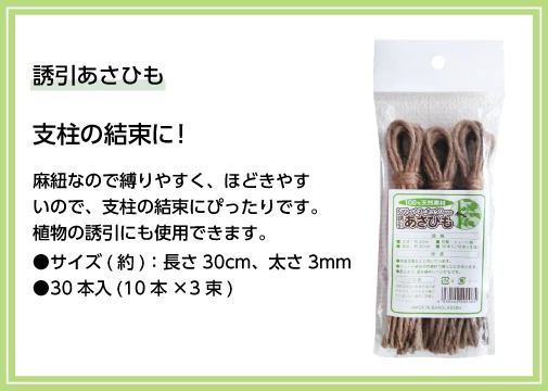 誘引あさひも