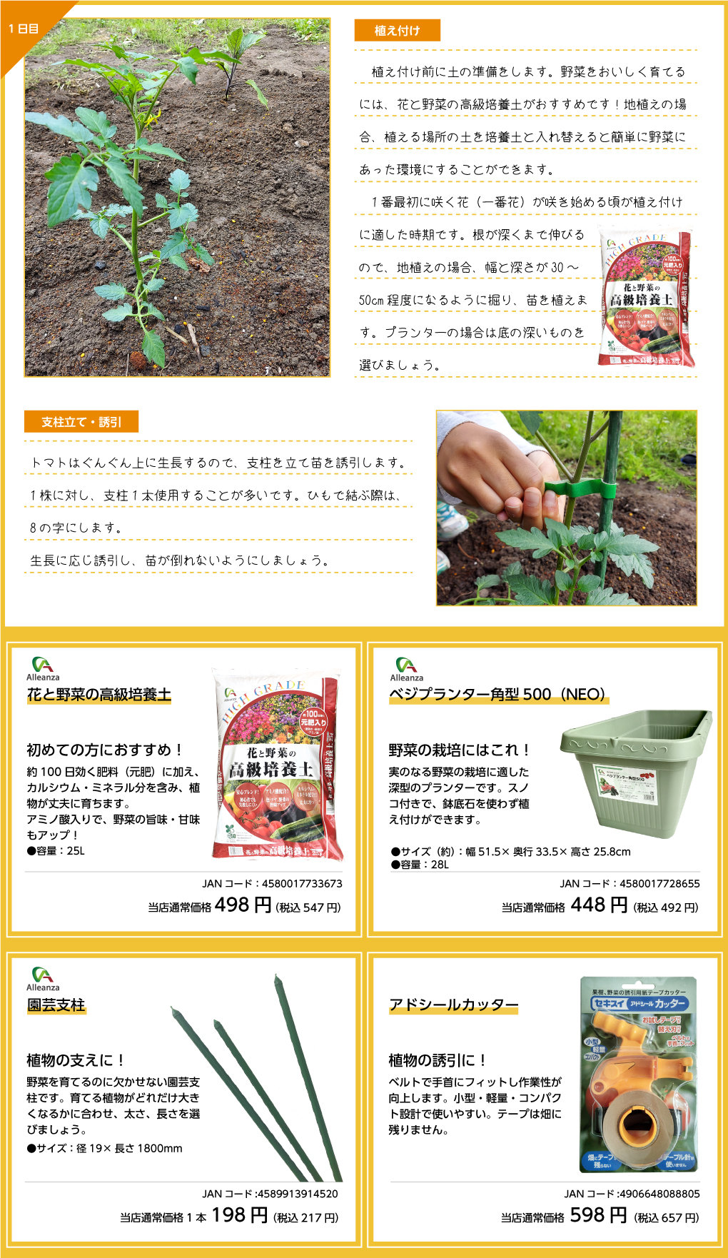 観察日記 ミニトマト編 株式会社ダイユーエイト 観察日記 ミニトマト編 株式会社ダイユーエイト