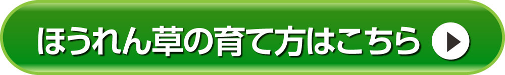 ほうれんそうの育て方へ