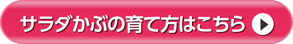 かぶの育て方へ