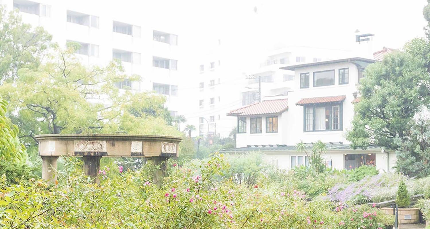 ブヨが潜みやすい庭の茂みや側溝などの風景
