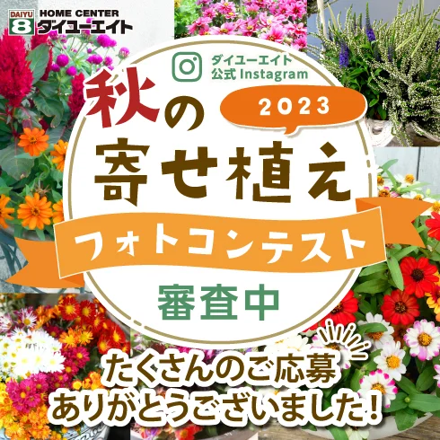 秋の寄せ植えフォトコンテスト