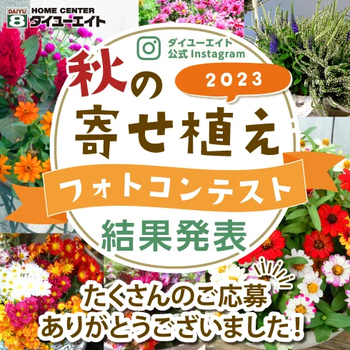 秋の寄せ植えフォトコンテスト