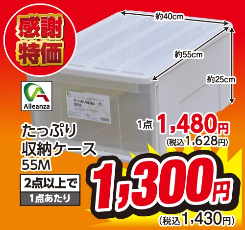 たっぷり収納ケース