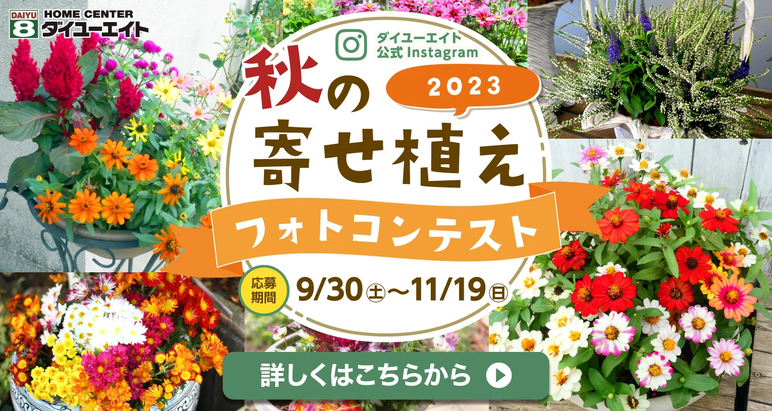 ダイユーエイト ガーデニングフォトコンテスト ページへ