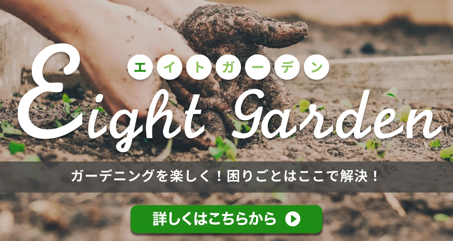 ダイユーエイト エイトガーデンへ