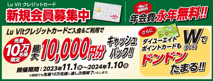 ダイユーエイト ルビットクレジットカード