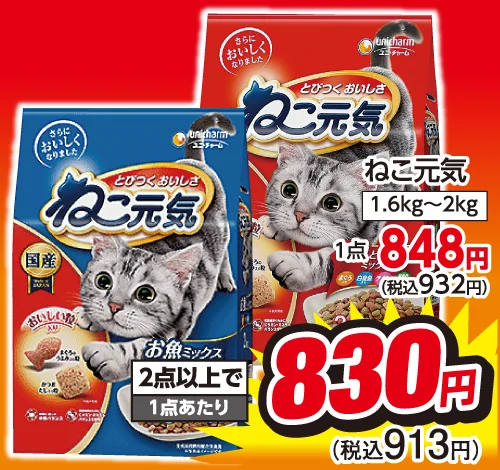 ねこ元気