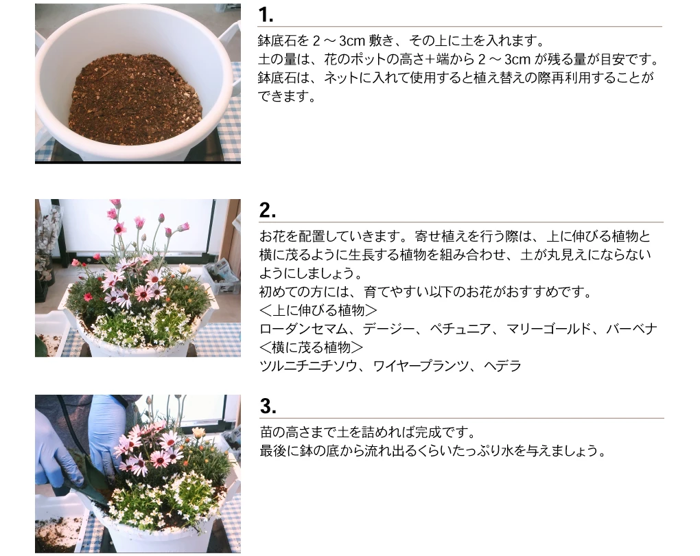 花苗の植え方