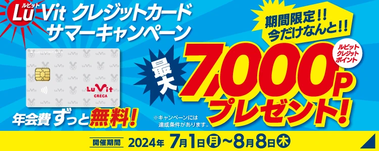 ダイユーエイト ルビットクレジットカード