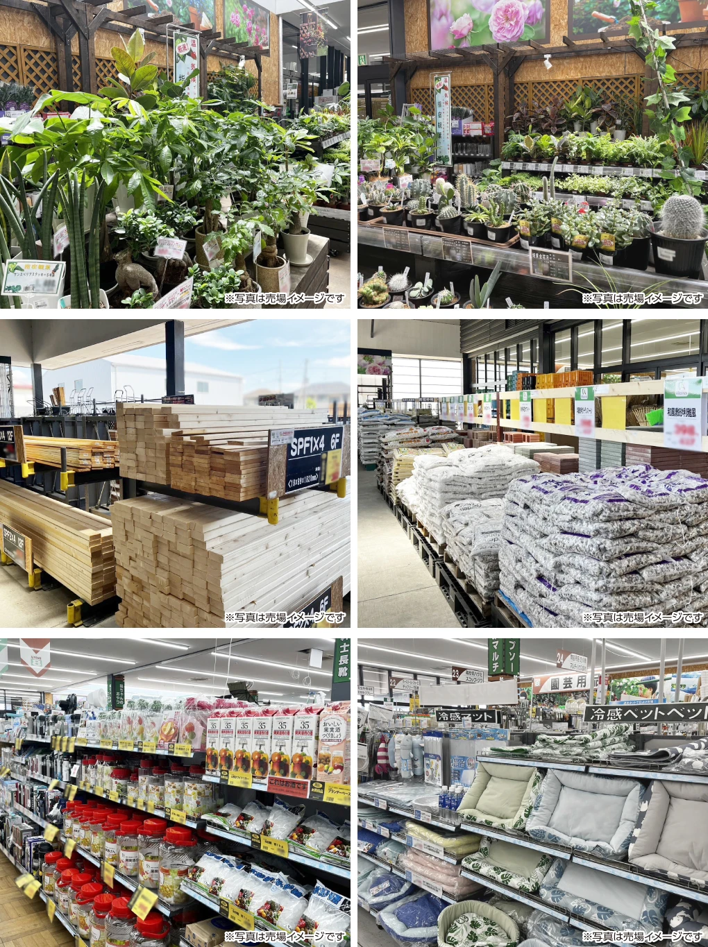 ダイユーエイト 梁川店