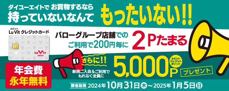 ダイユーエイト ルビットクレジットカード
