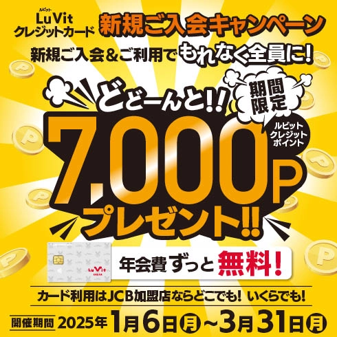 Lu Vit クレジットカード新規会員募集中！