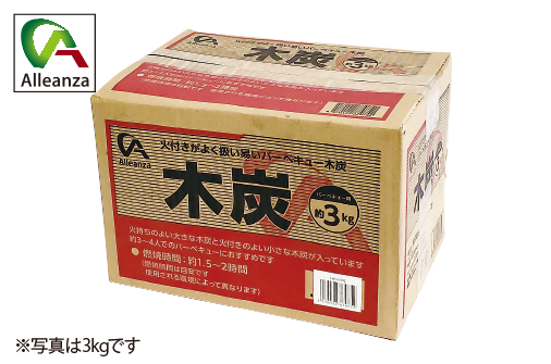 バーベキュー木炭