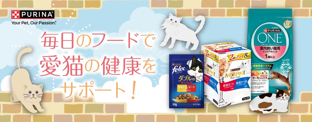 ピュリナワン フィリックス モンプチ 猫フード キャットフード