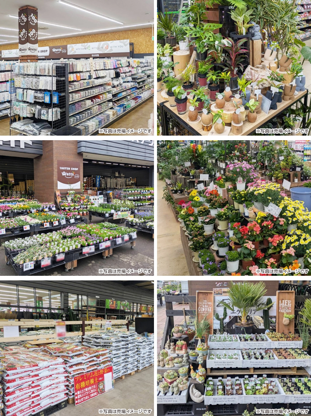 ダイユーエイト川俣店リフレッシュオープン！