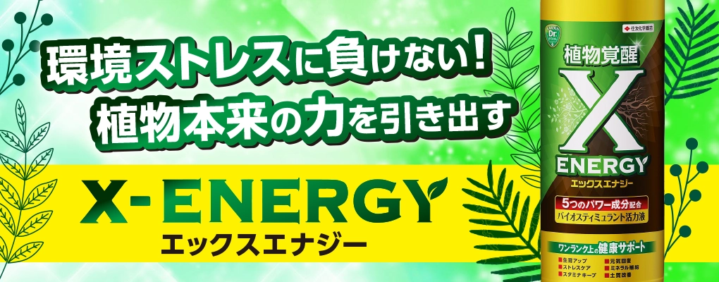 X-ENERGY エックスエナジー ベニカスプレー