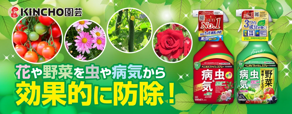 キンチョー　園芸　ガーデニング ベニカファインスプレー