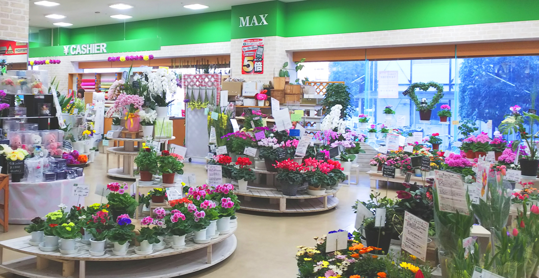 Flower Max テナントのご紹介 ダイユーエイトmax 株式会社ダイユーエイト